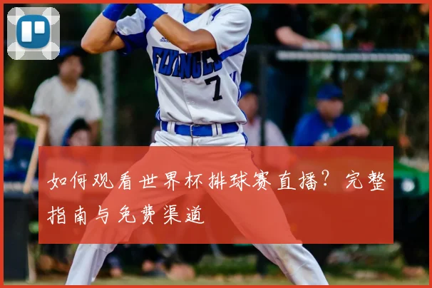 如何观看世界杯排球赛直播？完整指南与免费渠道