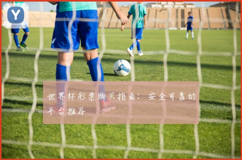 世界杯彩票购买指南：安全可靠的平台推荐