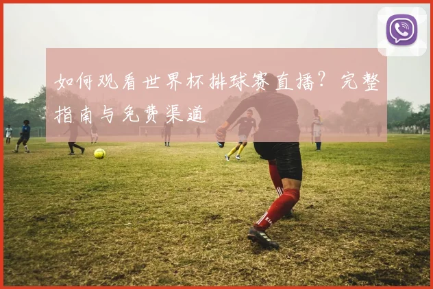如何观看世界杯排球赛直播？完整指南与免费渠道