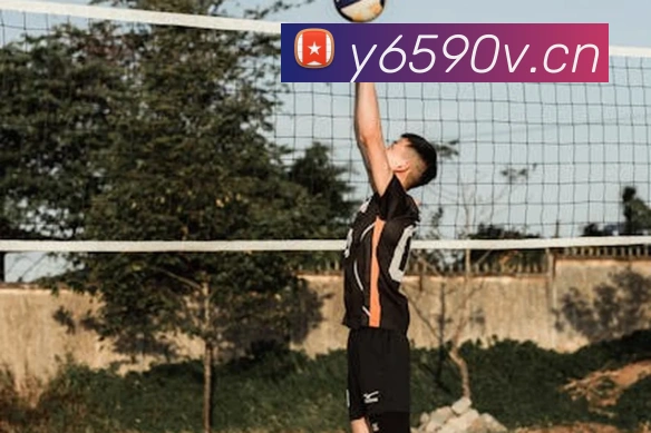 星空网网页版官方入口APP 封面图